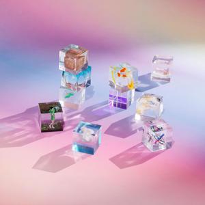 吴姐全家互换共乐阅读心得
